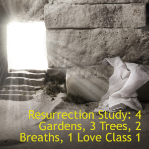 Resurrection Study: 4 Gardens (Class 1)