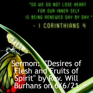 Sermon: "Desires of Flesh and Fruits of Spirit" by Rev. Will Burhans on 6/6/21