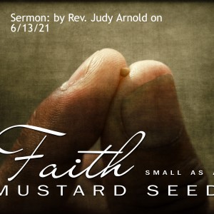 Sermon: by Rev. Judy Arnold on 6/13/21