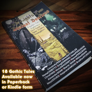 New Book: The Lights from Distant Bonfires: 18 Gothic Tales (Promo)