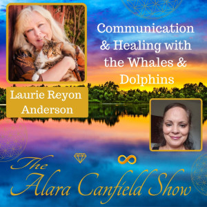 Communication and Healing with the Whales and Dolphins with Laurie Reyon Anderson