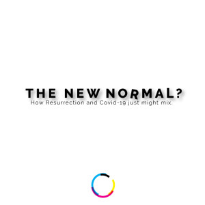 The New Normal? - Beliefs
