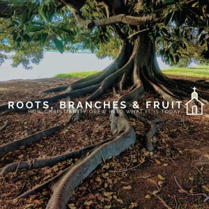 Roots, Branches and Fruit - What's Next?