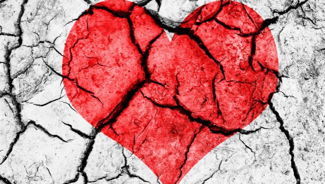 Lent 5: Broken Hearts - Raising Lazarus