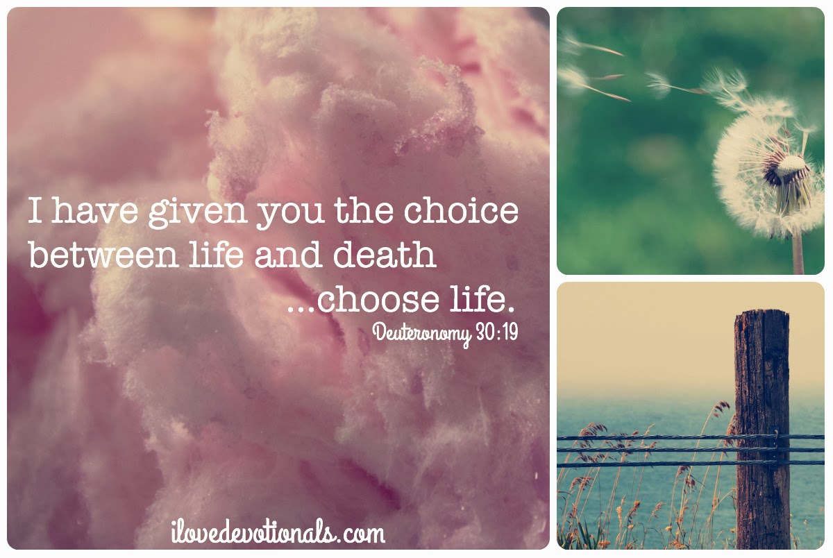 New Year. Same Promises: God's Promise of LIFE