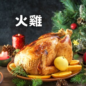 🦃火雞 - 羅記牧師【想起聖誕 想起甚麼？】