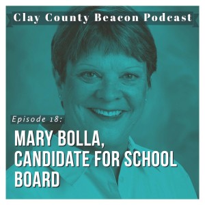 Mary Bolla, Candidate for School Board