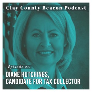Diane Hutchings, Candidate for Tax Collector