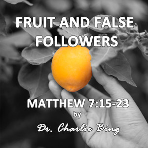 #33 - Fruit and False Followers - Matthew 7:15-23