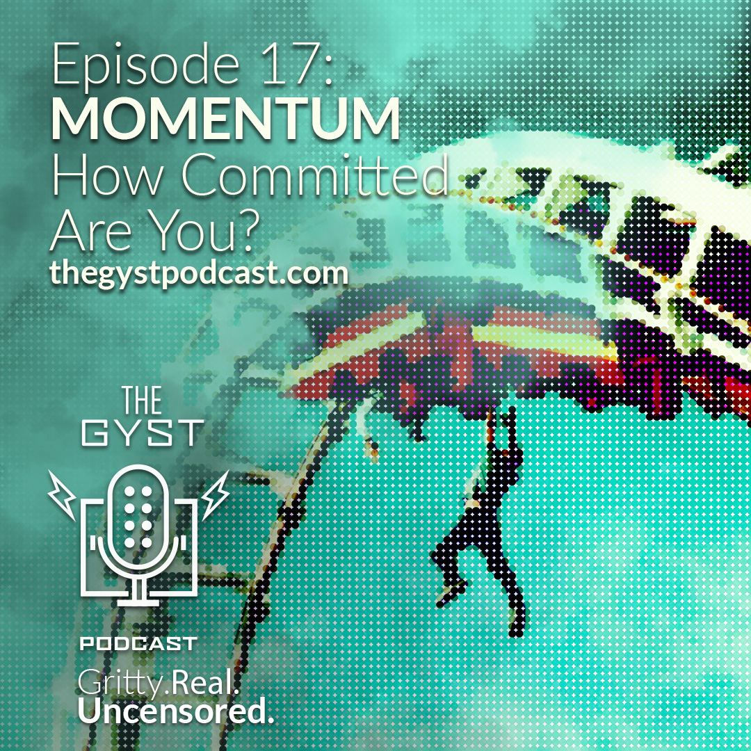 17. MOMENTUM : How Committed Are You?