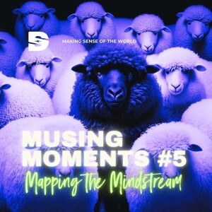 Musing Moment #5 - The Art of Sensemaking