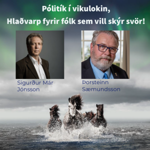 Pólitík í vikulokin með Sigurði Má, þáttur 4