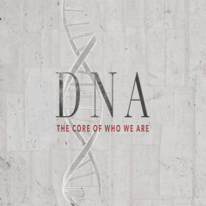 DNA // Week 2 // 11.01.20