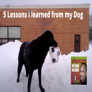 5 lessons my dog taught me to succeed in business
