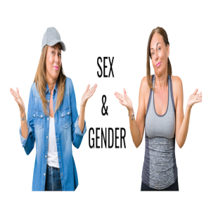 SEX & GENDER in Relationships