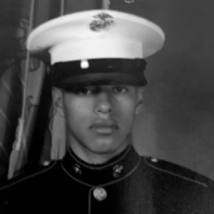 Learn about a Valuable Service for Vets and others.