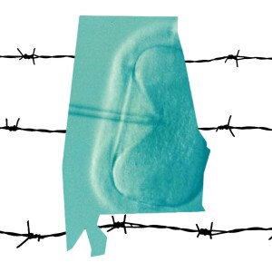 Intended Consequences: The Post-Roe Predictability of Alabama’s IVF Fiasco