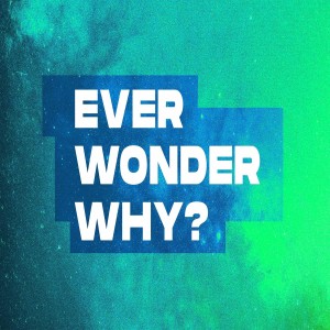 Ever Wonder Why?- Why Did God Let It Happen?