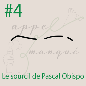 #4 - Le sourcil de Pascal Obispo