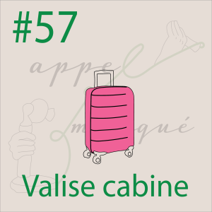 #57 - Valise cabine