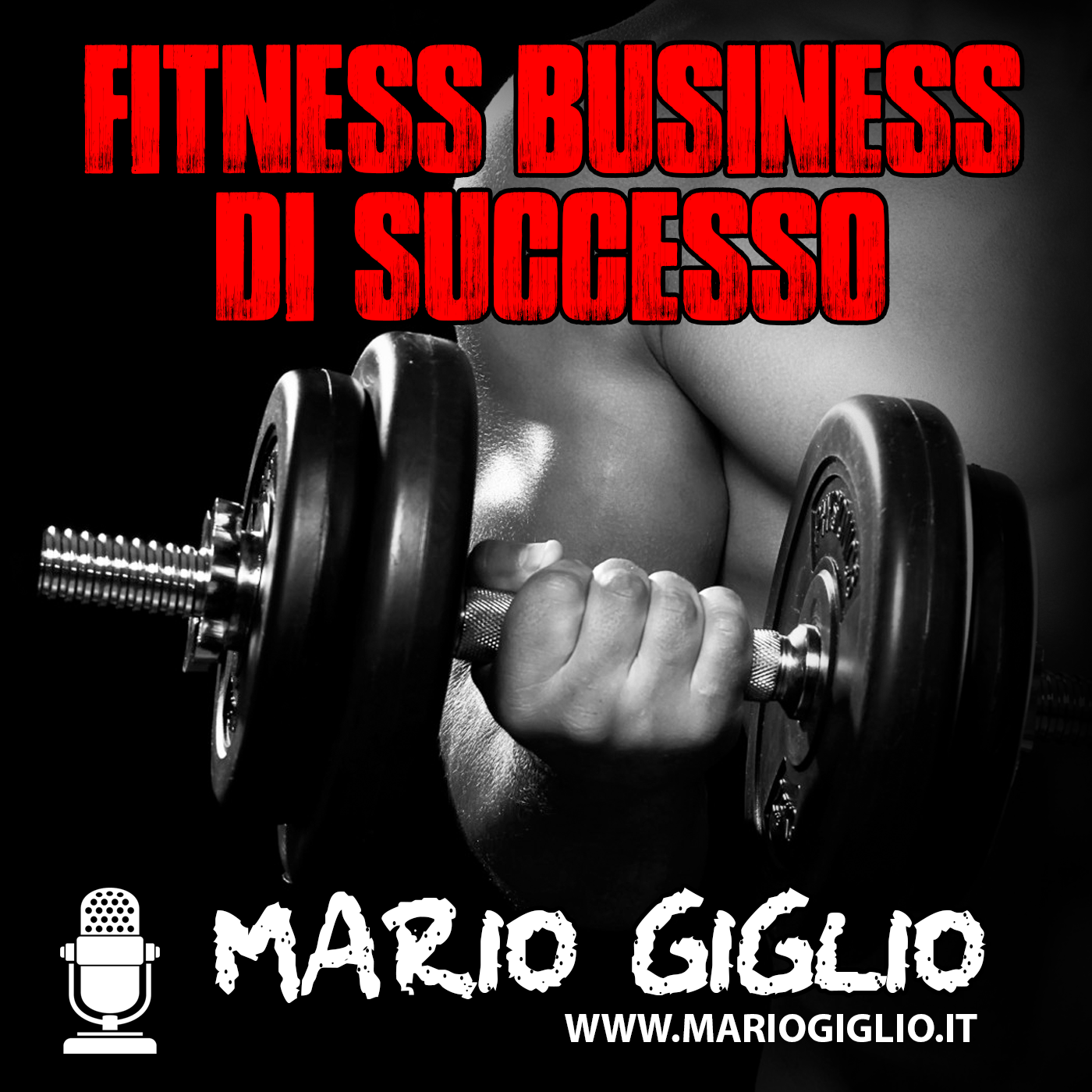 I 3 Pilastri per Essere un Professionista del Fitness di Successo.