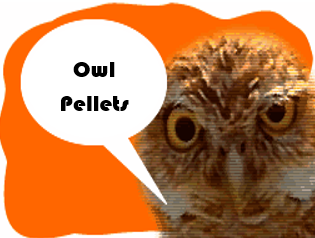 Owl Pellets Episode #4: Talking with students about GMOs - Joy Rumble