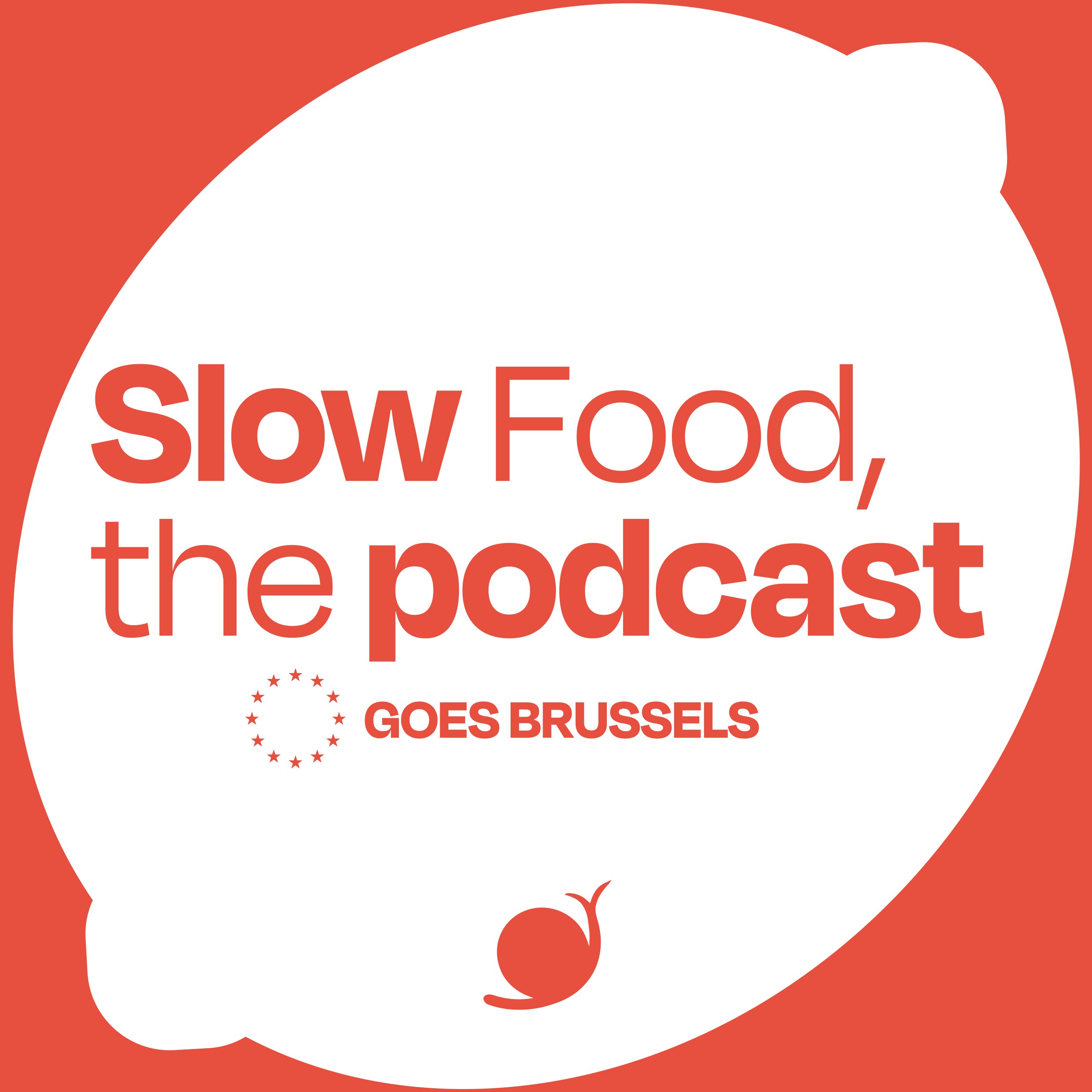 Slow Food Goes Brussels: Farmers protests: what are they really about?