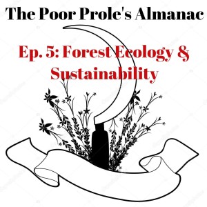 Forest Ecology & Sustainability