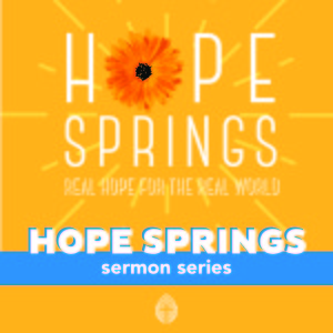 Hope Springs: 5. Soaring, Running, Walking in Hope