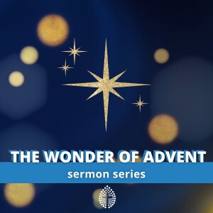 The Wonder of Advent: 3. Transforming Joy