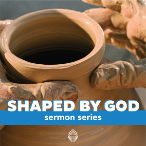 Shape: Shaped For Ministry