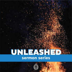 Unleashed: Unleashing the Power of Discipleship
