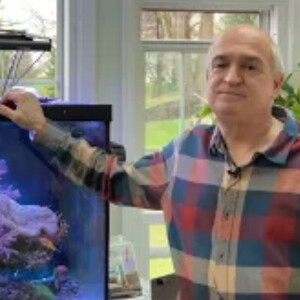 Beginners guide to a reef aquarium with author and accredited reef keeping hobbyist  Mike Paletta