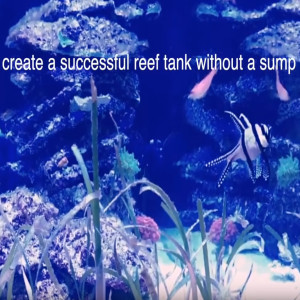 How to Setup a Reef Aquarium without a Sump - A Sumpless Coral Reef Aquarium