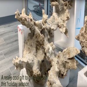 How to build your own coral reef rock structures - TSA Custom Rock Work