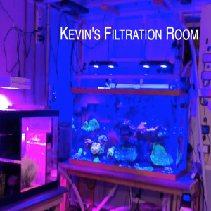 Kevin's Filtration Room - Three Reef Tanks One Skimmer