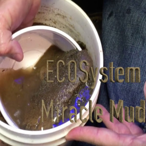 Mike Paletta on ECOsystem Miracle Mud - ReefKeeping Video Podcast by AmericanReef