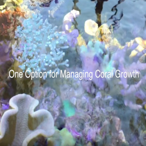 A unique way to manage coral growth - AmericanReef reefkeeping video - keeping a salt water aquarium