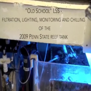 PSU Reef Tank 2009 - lighting filtration flow & chiller - 10 gallon saltwater fish tank setup