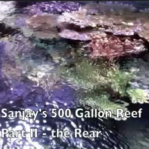 The Plumbing that drives SanJay's 500-gallon