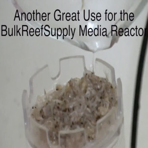 Rinse your frozen food with the BRS Media Reactor - ReefKeeping Video by AmericanReef