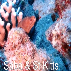 Saba and St Kitts - AmericanReef ReefKeeping video podcast - Diving Series