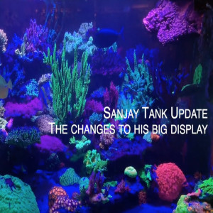 SanJay and Mike - new changes to Sanjay's saltwater reef tank - ozone and Nyos Torq to name a few