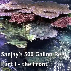 SanJay Joshi's 500 Gallon Reef Tank