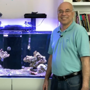 Sanjay Joshi - The Butterfly Tank and the lessons learned - starting a saltwater and coral reef tank