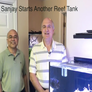 SanJay is setting up a new coral reef aquarium - starting the saltwater aquarium