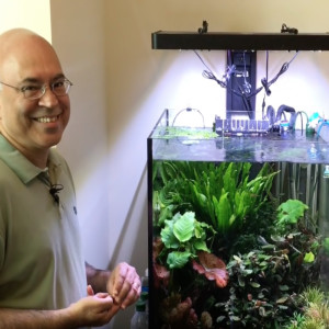 How SanJay maintains and keeps his beautiful planted tank with minmal effort