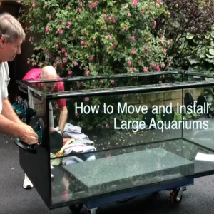 The Paletta 500 has arrived - how to move and install large aquariums