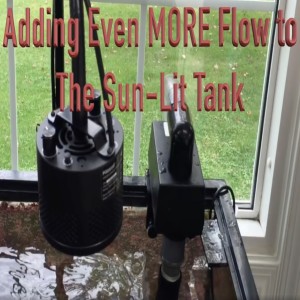 The Paletta Sun Lit Tank Project - Part III