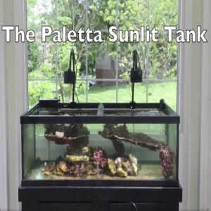 The Paletta Sunlit Reef Tank Project - Part I - how to setup a saltwater aquarium